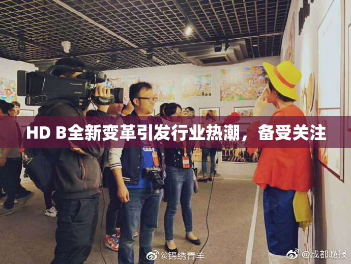 HD B全新变革引发行业热潮，备受关注