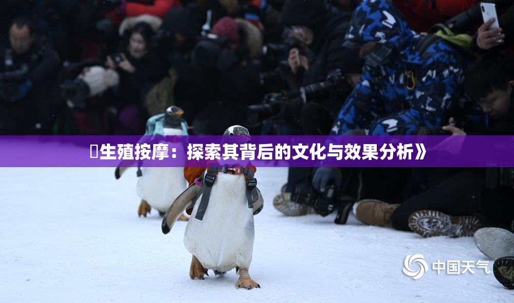 巜生殖按摩：探索其背后的文化与效果分析》
