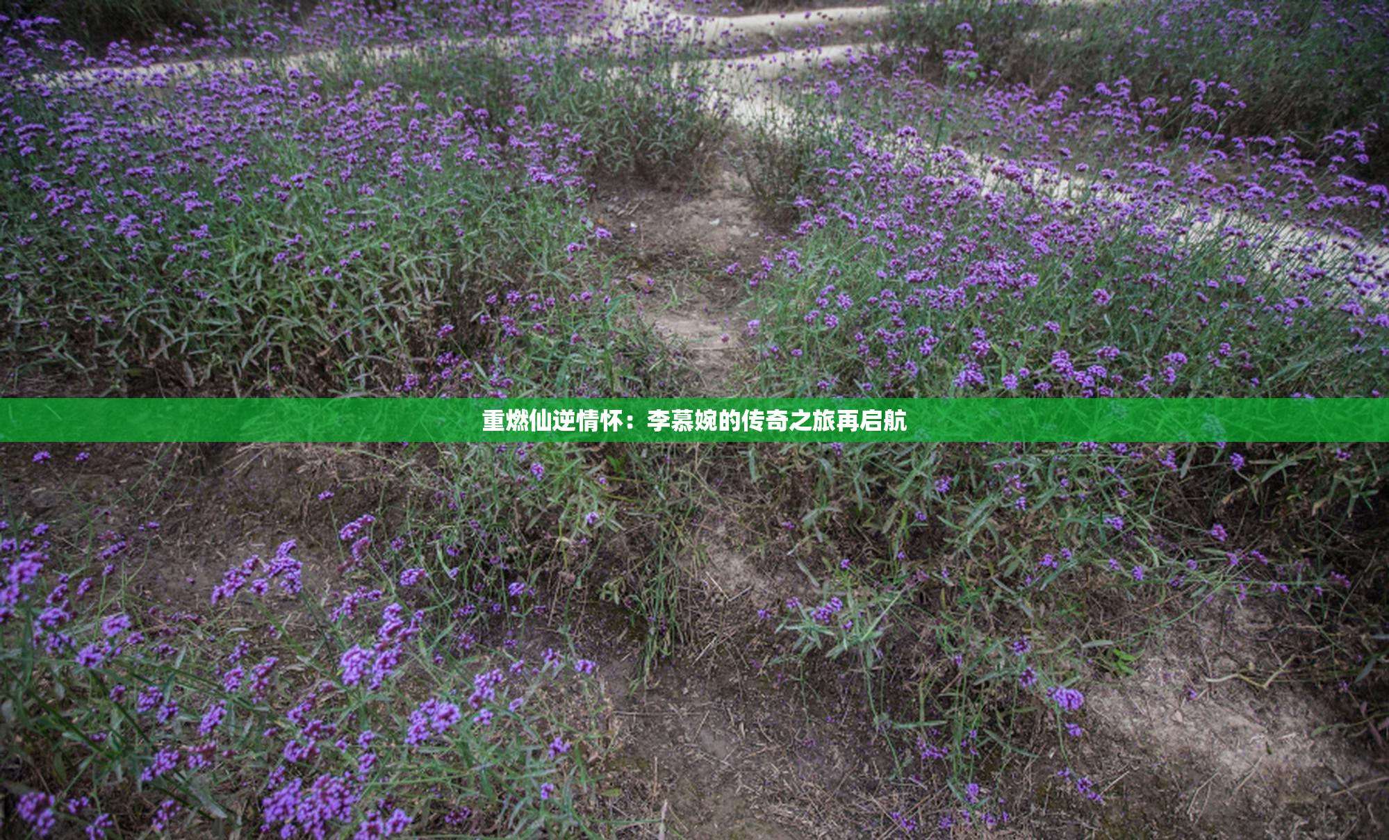 重燃仙逆情怀：李慕婉的传奇之旅再启航