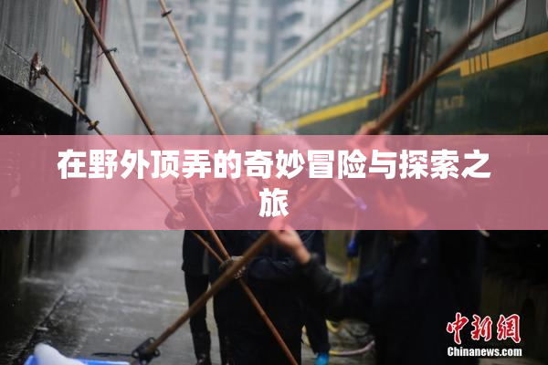 在野外顶弄的奇妙冒险与探索之旅