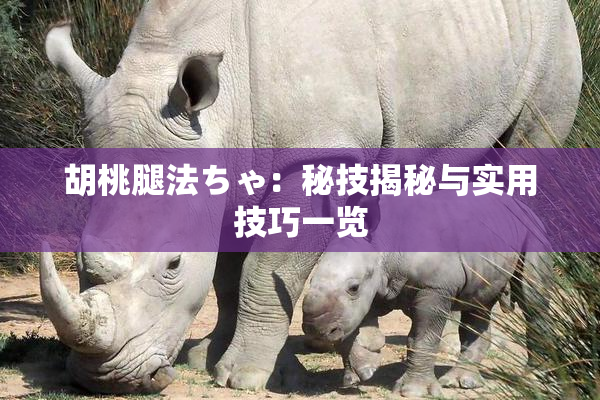 胡桃腿法ちゃ：秘技揭秘与实用技巧一览