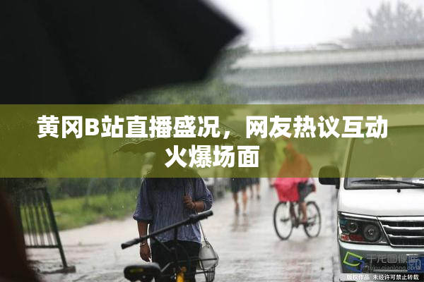 黄冈B站直播盛况，网友热议互动火爆场面