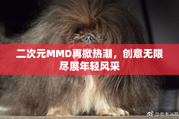 二次元MMD再掀热潮，创意无限尽展年轻风采