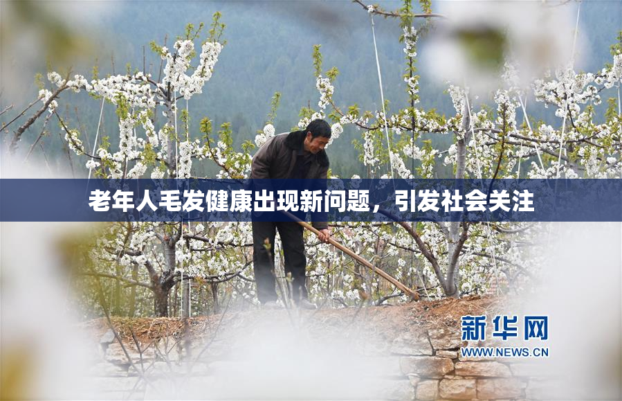 老年人毛发健康出现新问题，引发社会关注