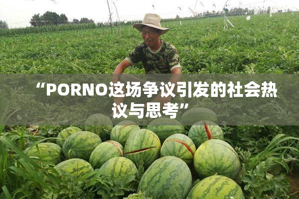“PORNO这场争议引发的社会热议与思考”