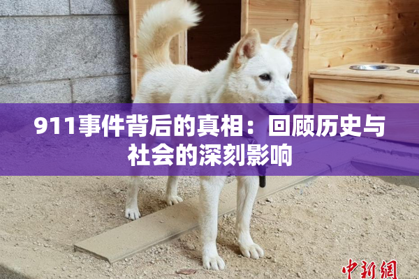 911事件背后的真相：回顾历史与社会的深刻影响