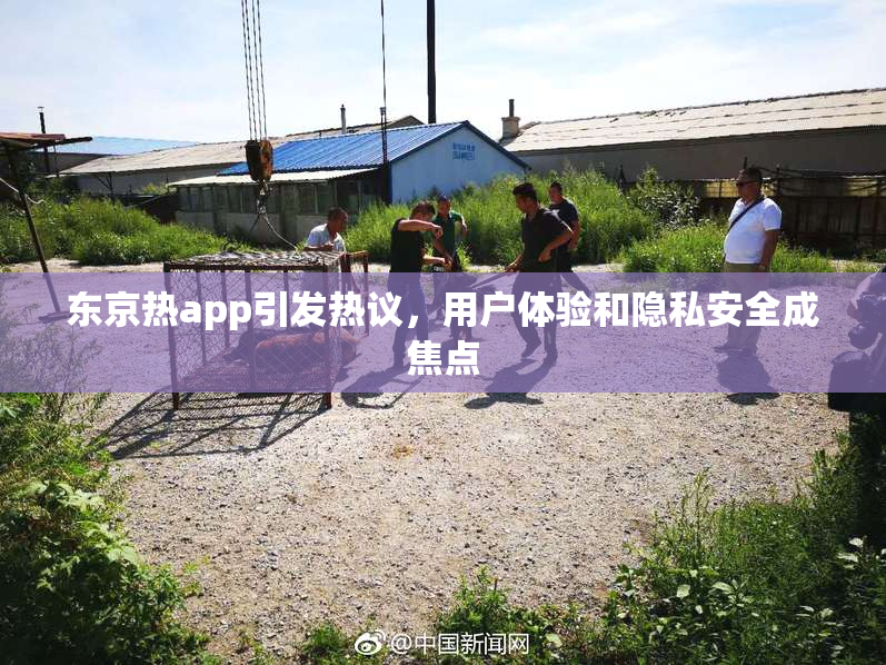 东京热app引发热议，用户体验和隐私安全成焦点