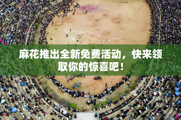 麻花推出全新免费活动，快来领取你的惊喜吧！