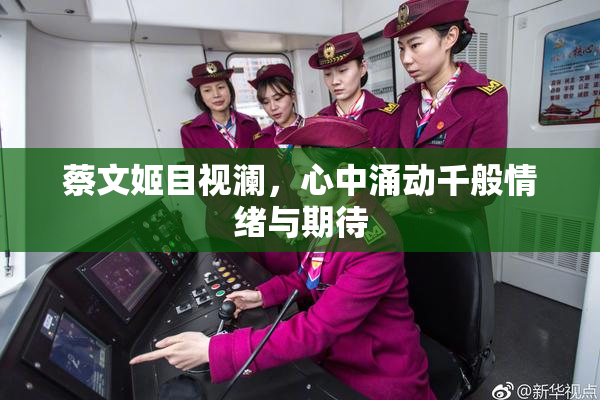 蔡文姬目视澜，心中涌动千般情绪与期待