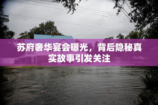 苏府奢华宴会曝光，背后隐秘真实故事引发关注