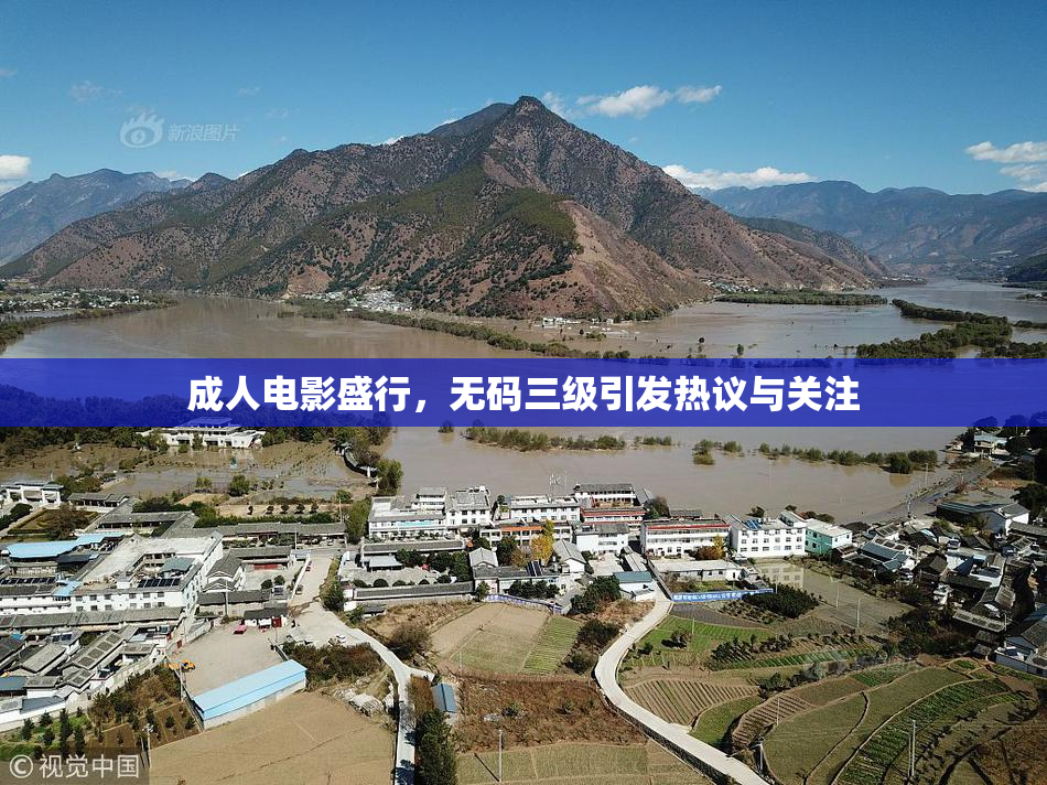 成人电影盛行，无码三级引发热议与关注