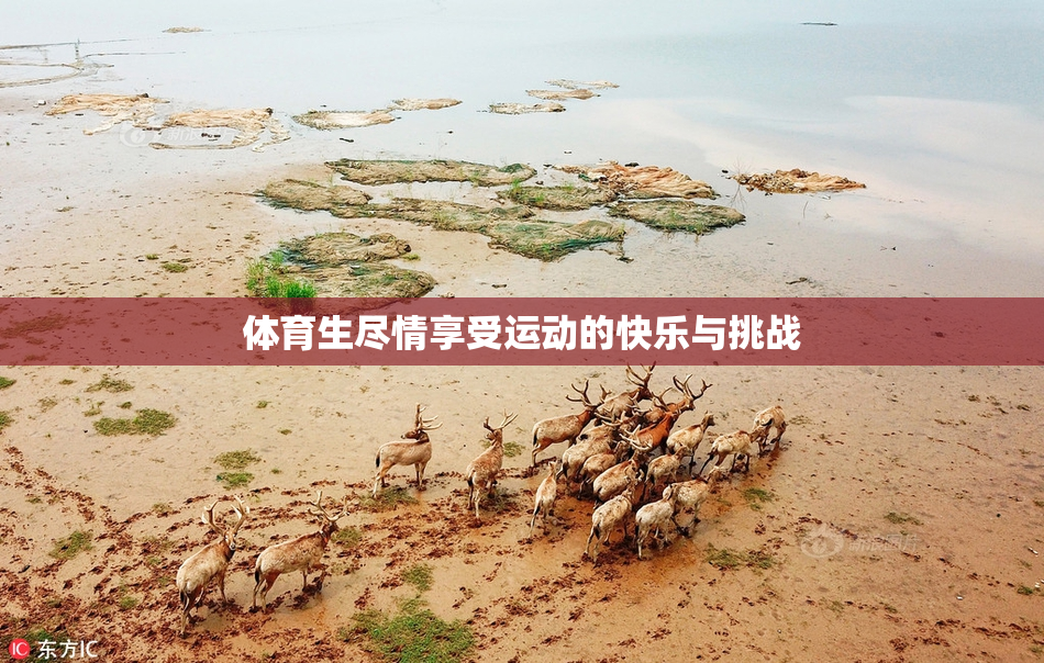 体育生尽情享受运动的快乐与挑战