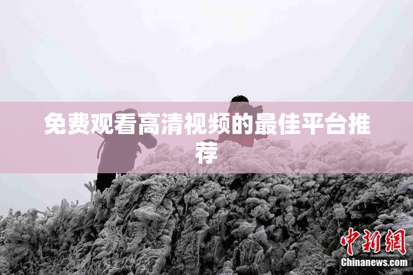 免费观看高清视频的最佳平台推荐