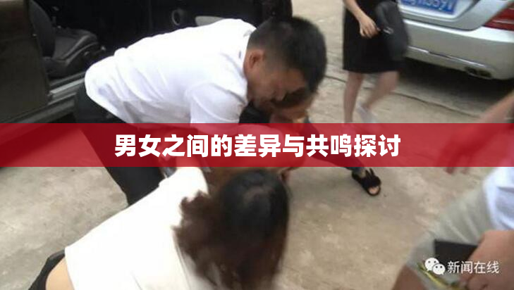 男女之间的差异与共鸣探讨