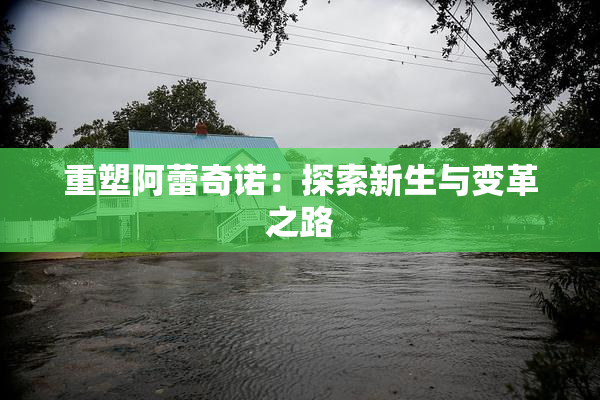 重塑阿蕾奇诺：探索新生与变革之路