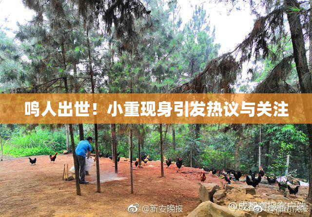 鸣人出世！小重现身引发热议与关注