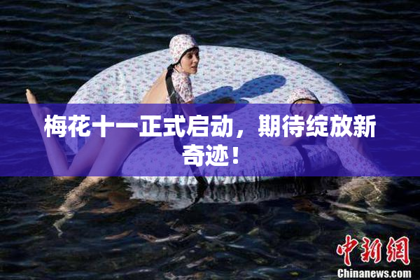 梅花十一正式启动，期待绽放新奇迹！