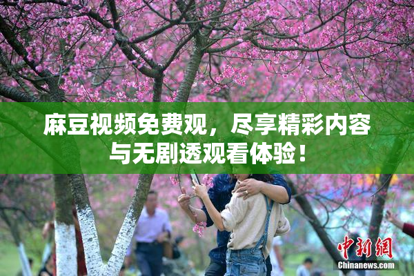 麻豆视频免费观，尽享精彩内容与无剧透观看体验！