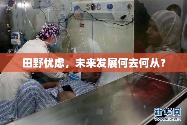 田野忧虑，未来发展何去何从？
