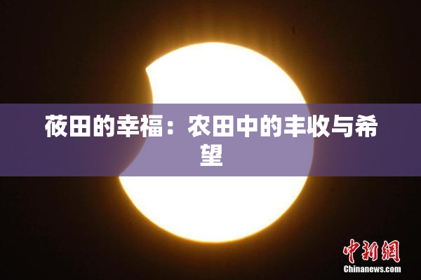 莜田的幸福：农田中的丰收与希望