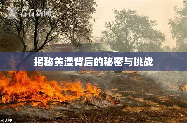 揭秘黄漫背后的秘密与挑战