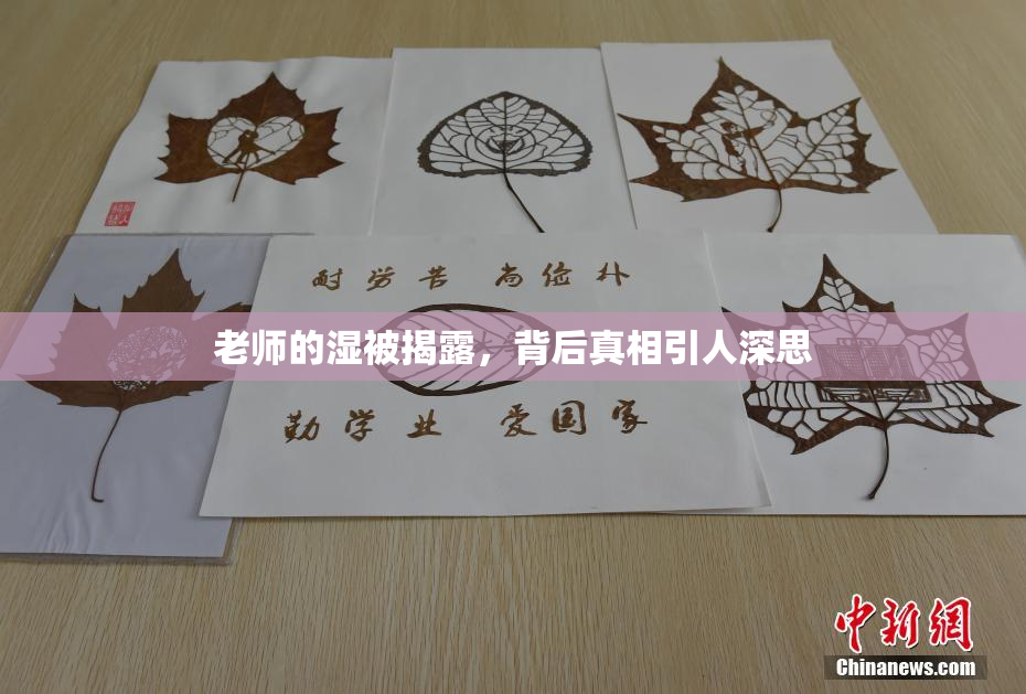 老师的湿被揭露，背后真相引人深思