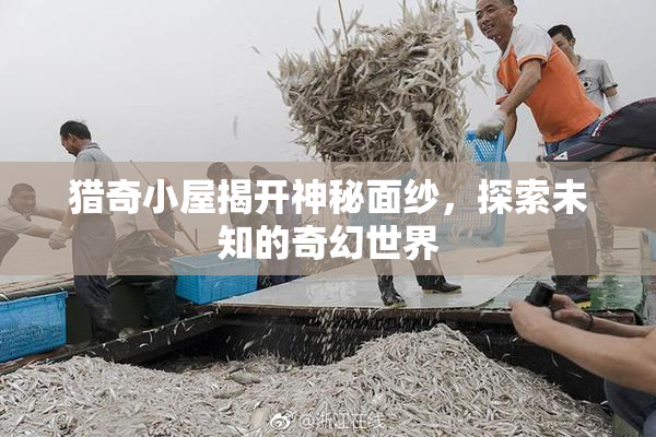 猎奇小屋揭开神秘面纱，探索未知的奇幻世界