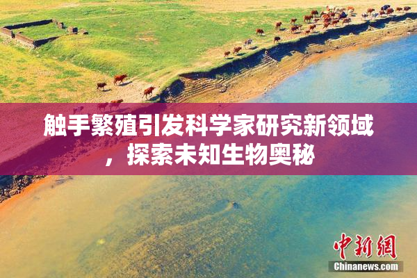 触手繁殖引发科学家研究新领域，探索未知生物奥秘