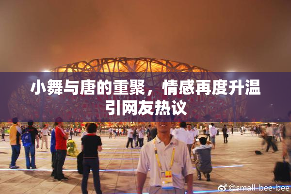 小舞与唐的重聚，情感再度升温引网友热议