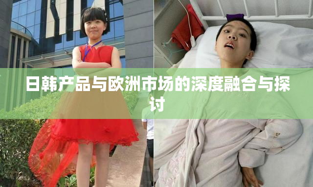 日韩产品与欧洲市场的深度融合与探讨