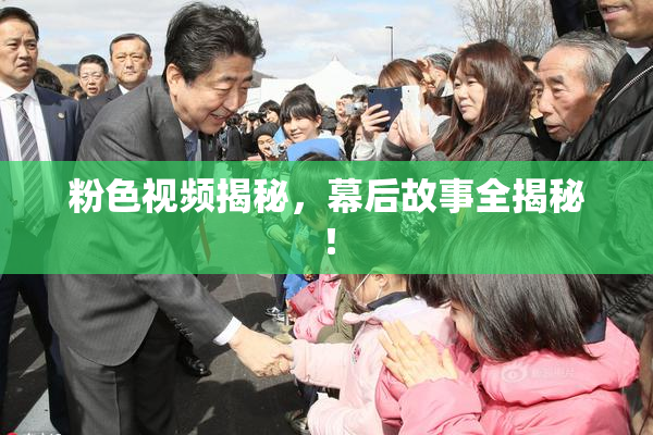 粉色视频揭秘，幕后故事全揭秘！