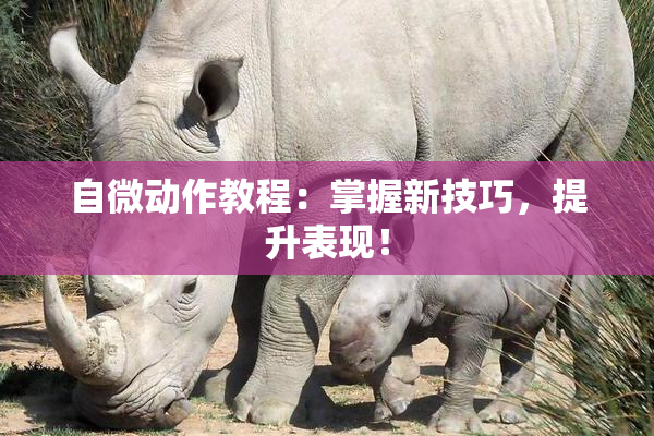 自微动作教程：掌握新技巧，提升表现！