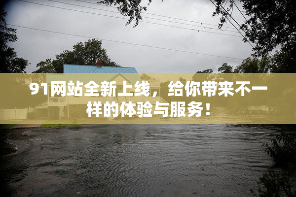 91网站全新上线，给你带来不一样的体验与服务！