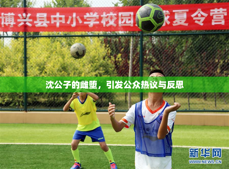 沈公子的雌堕，引发公众热议与反思