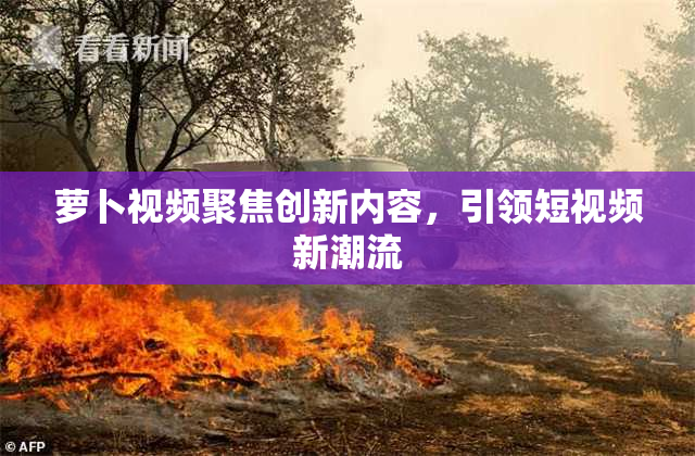 萝卜视频聚焦创新内容，引领短视频新潮流