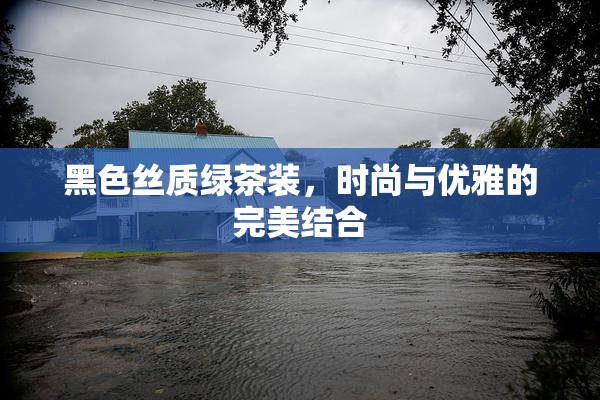 黑色丝质绿茶装，时尚与优雅的完美结合