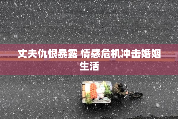 丈夫仇恨暴露 情感危机冲击婚姻生活