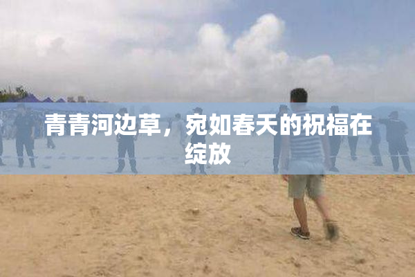 青青河边草，宛如春天的祝福在绽放