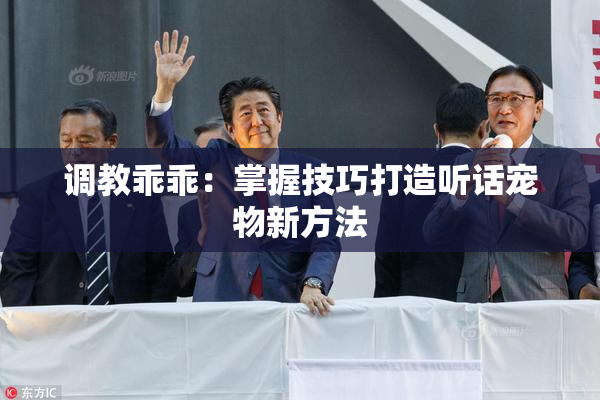 调教乖乖：掌握技巧打造听话宠物新方法