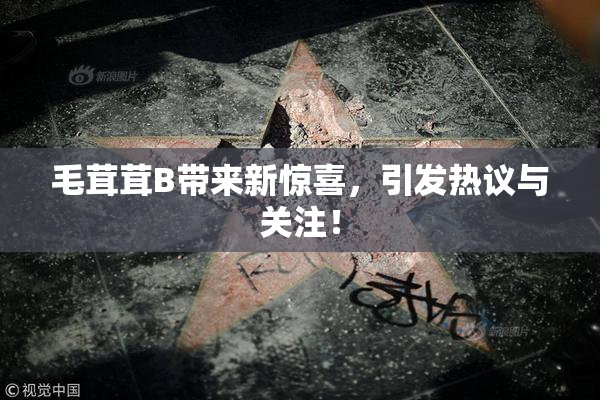 毛茸茸B带来新惊喜，引发热议与关注！
