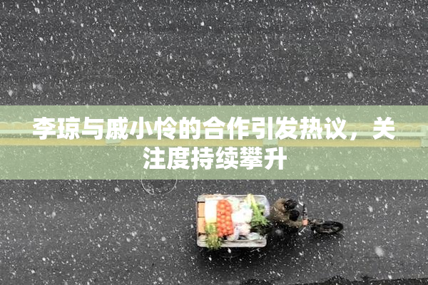 李琼与戚小怜的合作引发热议，关注度持续攀升