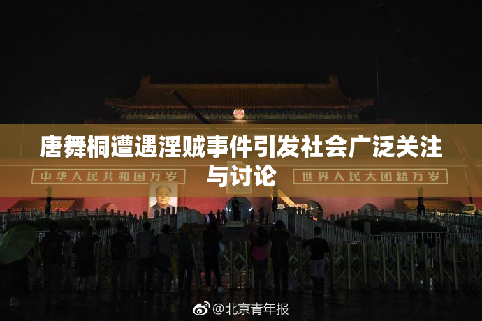 唐舞桐遭遇淫贼事件引发社会广泛关注与讨论
