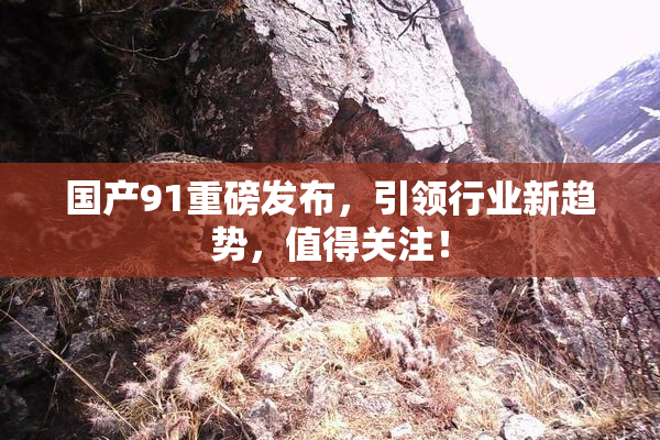 国产91重磅发布，引领行业新趋势，值得关注！