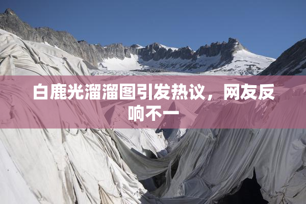白鹿光溜溜图引发热议，网友反响不一