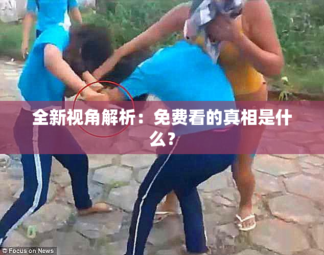 全新视角解析：免费看的真相是什么？