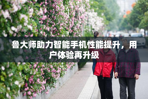 鲁大师助力智能手机性能提升，用户体验再升级