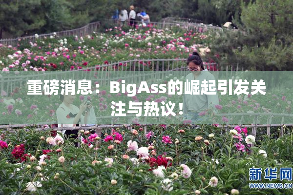 重磅消息：BigAss的崛起引发关注与热议！