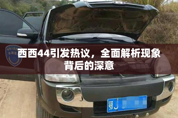 西西44引发热议，全面解析现象背后的深意