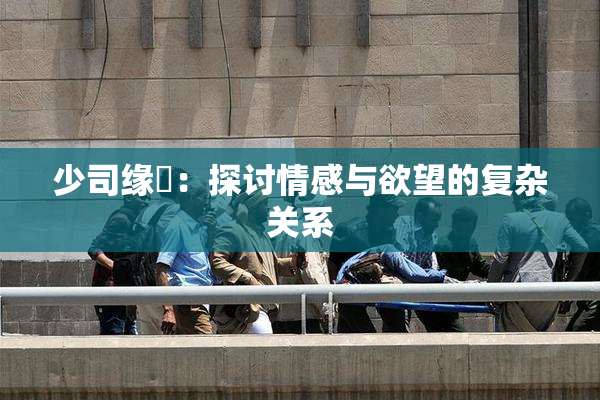 少司缘婬：探讨情感与欲望的复杂关系