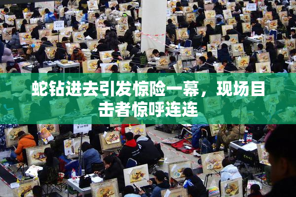 蛇钻进去引发惊险一幕，现场目击者惊呼连连